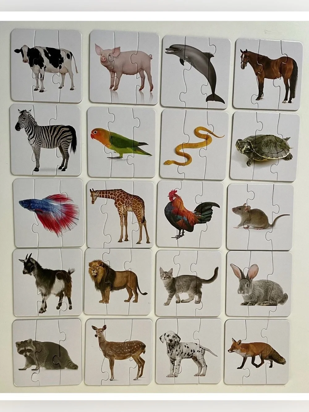 Match It Head To Tail Kids Puzzle 20 puzzle sets